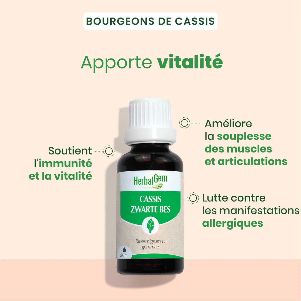 Gemmothérapie de Cassis 30ml
