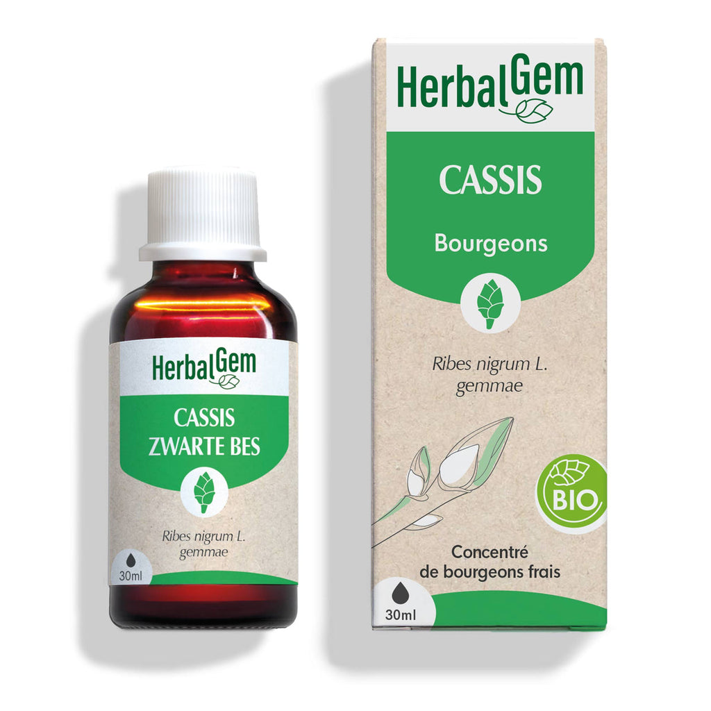 Gemmothérapie de Cassis 30ml
