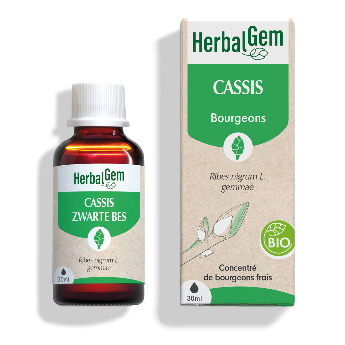 Gemmothérapie de Cassis 30ml